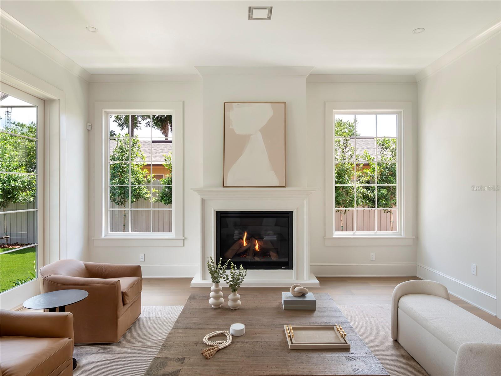 Living room with fireplace